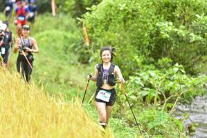 BIB: 1653
                            <button type="button" onclick="openModal(13435931)" class="btn btn-primary btn-sm float-right btn-popup" data-toggle="modal" data-target=".modal-high-quality">
                        <i class="fas fa-shopping-cart"></i> Add to Cart
                    </button>
                                            <button type="button" onclick="isThisMe(13435931, true)" class="btn btn-success btn-sm float-right btn-popup btn-isme hidden" data-toggle="tooltip" data-placement="bottom" title="นี่คือรูปของคุณใช่ไหม คลิกที่นี่เพื่อเอาเข้าอัลบั้ม">
                        <i class="fas fa-plus"></i> Add to album
                    </button>
                    <button type="button" onclick="isThisMe(13435931, false)" class="btn btn-warning btn-sm float-right btn-popup btn-isnotme hidden">
                        <i class="fas fa-ban"></i> Remove from album
                    </button>